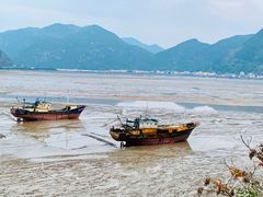-北岐滩涂