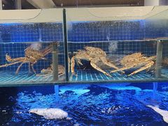 -明州小宴(文化广场店)