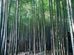 -苏州环秀晓筑养生度假村