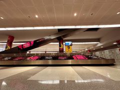 -约翰·菲茨杰拉德·肯尼迪国际机场