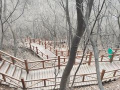 -大岭沟猕猴桃谷风景区