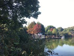 -白马涧龙池景区
