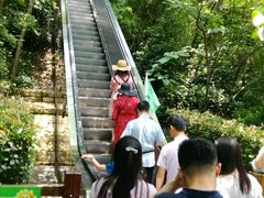 -天目湖山水园