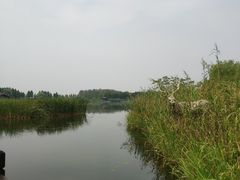 -溱湖国家湿地公园