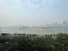 -李子坝梁山鸡(李子坝大鸡哥店)