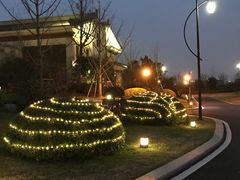 -苏州湾王焰温泉度假酒店