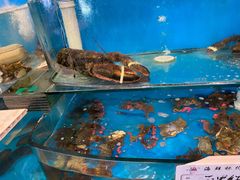 水产区-东海渔村海鲜码头大排档