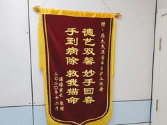 -中农国际动物医院24小时·猫科·骨科·急重症中心