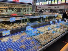 水产区-宝轩渔府·老字号海鲜·正宗津菜(水上店)