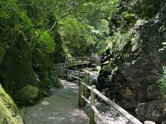-牛背梁国家森林公园