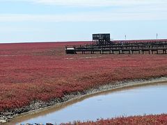 -红海滩国家风景廊道