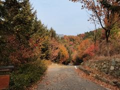 -九如山休闲旅游度假区