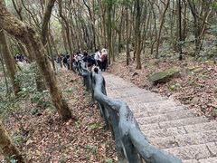 -梧桐山风景名胜区