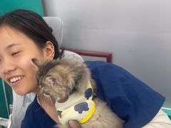 -博特宠物医院24h犬猫全科.骨科·异宠