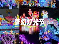 -欢乐海岸椰林沙滩-2025湾区超级灯会