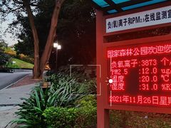 -南宁良凤江国家森林公园