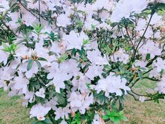 -陈家祠堂-游客中心