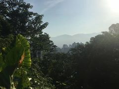 -金鸡山公园