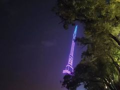 -人民防洪胜利纪念塔