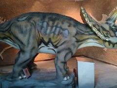 -安徽省地质博物馆