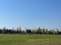 -汉长安城未央宫国家考古遗址公园