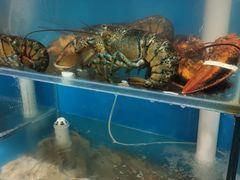 水产区-1910老鲁味海鲜·戳子肉·青岛菜(金沙滩店)
