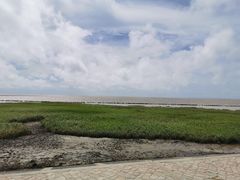 -南汇嘴观海公园