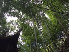 -宁波五龙潭景区