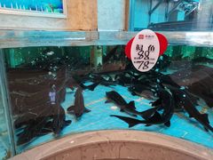 -香融府·烤鸭·家常菜(马家堡路店)