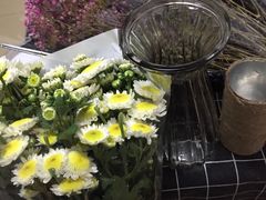 -溪岸路花鸟市场