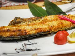 -彩汐 日式海鲜&烧鸟居酒屋