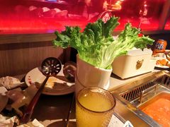 -芝小官毛肚火锅海鲜自助(苏州吴江区万宝店)