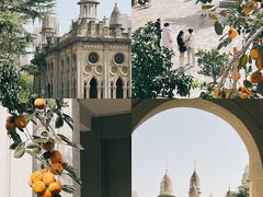 -古德寺