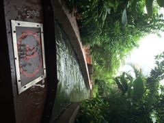 iphone_upload_pic-河川生态园