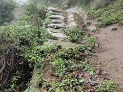 -终南山国家森林公园