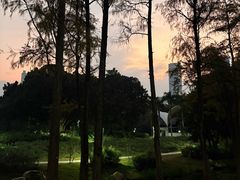 -人民公园(罗湖区)