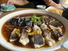-珊溪水库野生有机包头鱼