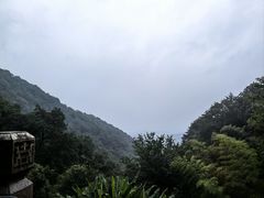 -韬光茶庵
