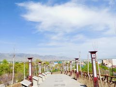 -特克斯八卦城