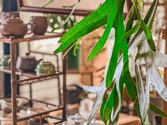 -JRCAFE玖如空间