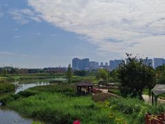 -那考河湿地公园