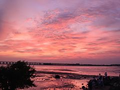 -宝安西湾红树林湿地公园