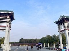 -王借岗森林公园