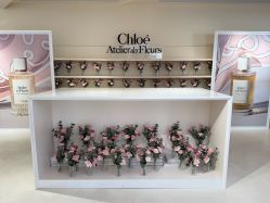 -SALON DE VANHADA