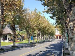 -四川大学(望江校区)