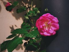 -颐和路民国时期公馆-风貌区