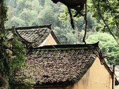 -杨家堂村