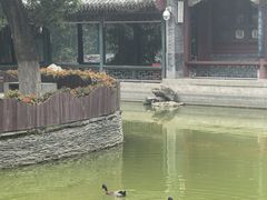 -宣武艺园