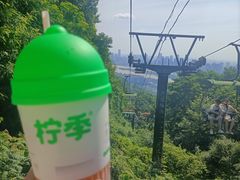 -柠季·手打柠檬茶(岳麓山登高路店)