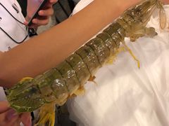 -鲜入围煮花胶鸡海鲜火锅